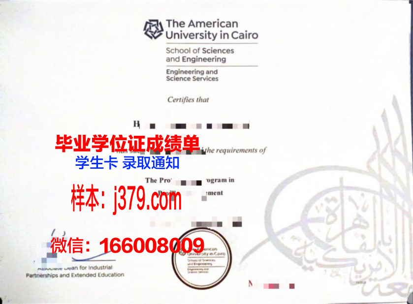 开罗大学毕业证翻译(开罗大学有什么专业)