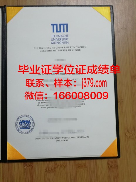 慕尼黑造型艺术学院毕业证等级(慕尼黑设计学院)
