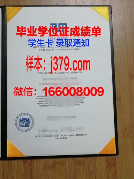 慕尼黑商学院读多久才毕业证(慕尼黑大学商科)