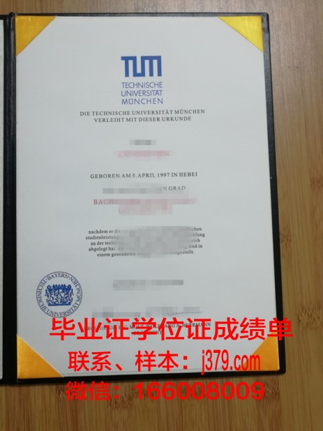 慕尼黑大学研究生毕业证(慕尼黑大学研究生毕业证样本)