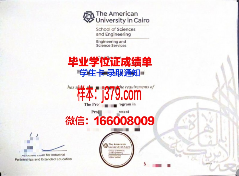 开罗大学毕业证图片(开罗大学有什么专业)