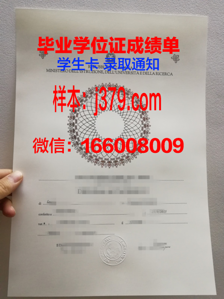 意大利毕业证书电子版(意大利的毕业证)