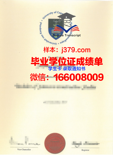 开普敦大学毕业文凭