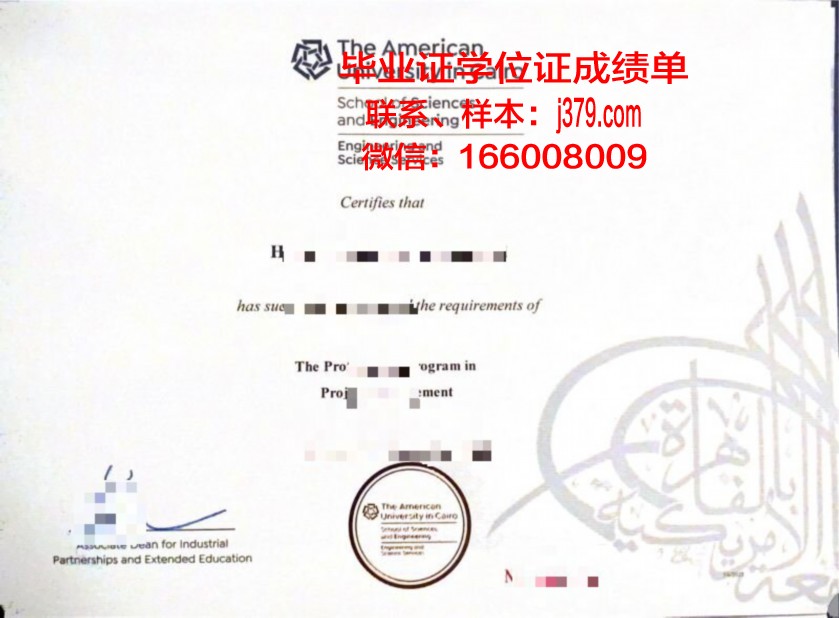 开罗大学毕业证案例(开罗大学留学申请)