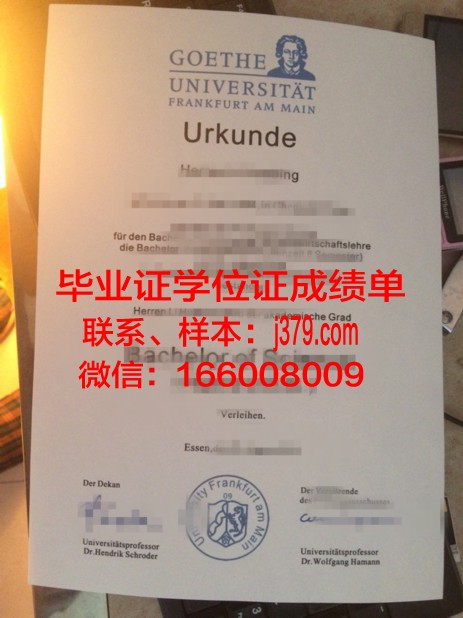 奥德河畔法兰克福欧洲大学毕业证尺寸(法兰克福欧洲商学院)