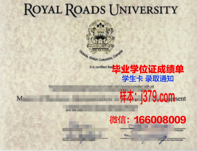 成本学位证书:教育投资与回报的理性分析