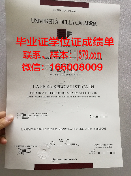 意大利学位证书长什么样子(意大利学士学位)