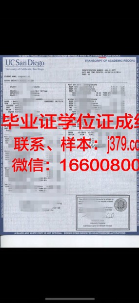 建筑联盟学院成绩单:教育创新的典范