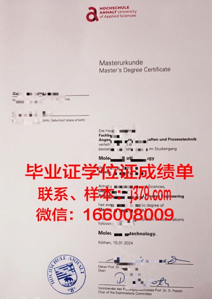 奥登堡艾尔斯弗雷特威廉港应用技术大学毕业证书什么颜色