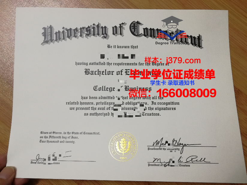 康涅狄格学院毕业文凭