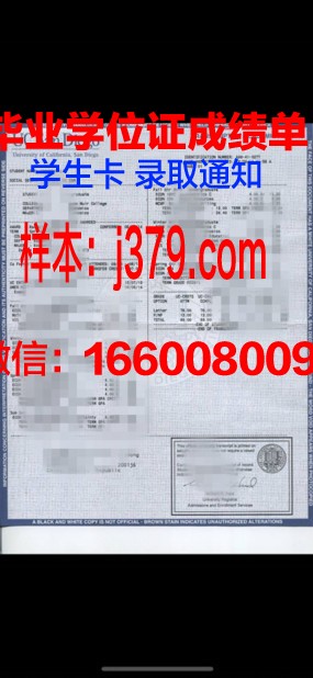 康斯坦丁门托里兄弟第一大学证书成绩单