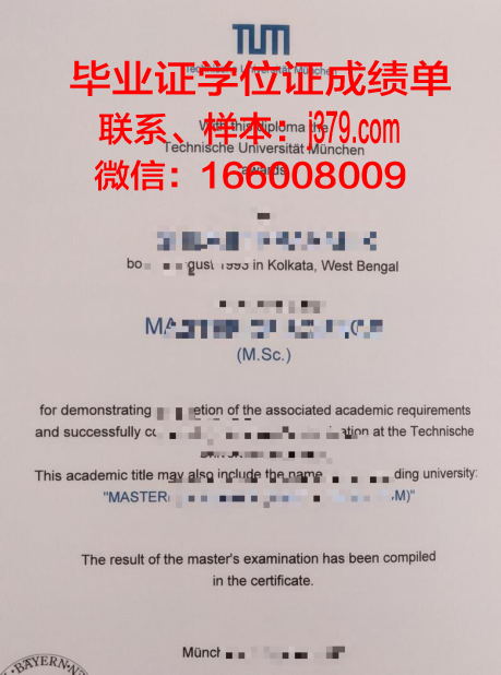 慕尼黑媒体学院学位成绩单定制:专业、严谨、可靠