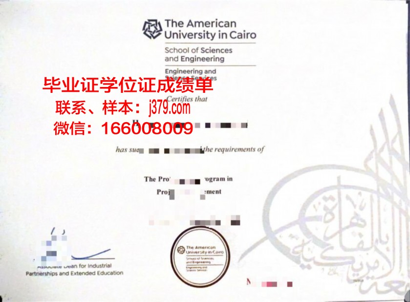 开罗大学硕士毕业证书样本(开罗大学硕士毕业证书样本图片)