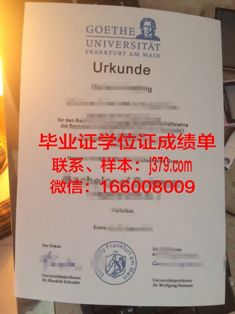 奥德河畔法兰克福欧洲大学毕业证好找工作吗(德国奥德河畔法兰克福欧洲大学)