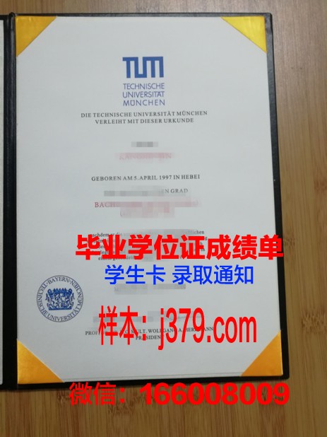 慕尼黑媒体学院几年可以毕业证(慕尼黑大学广告学)