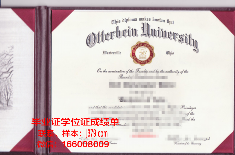 奥特本大学毕业证好找工作吗(奥特曼毕业清华)