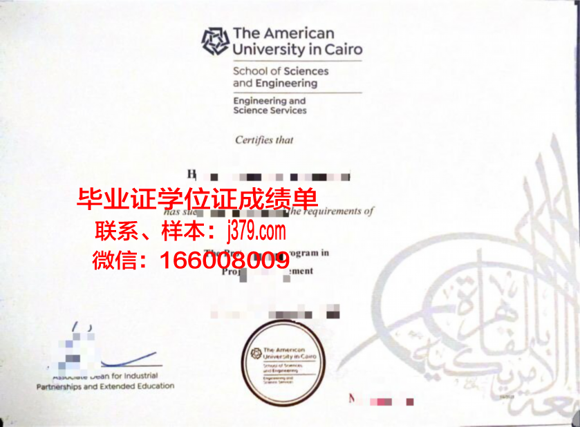 开罗大学毕业证案例(开罗大学留学申请)