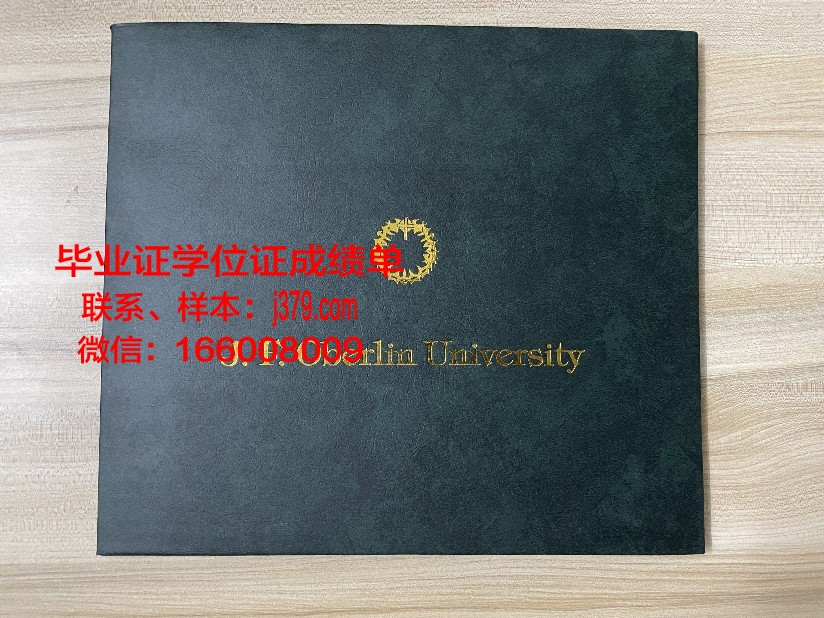 康茨坦茨大学硕士毕业证书样本(康斯坦茨大学研究生申请)