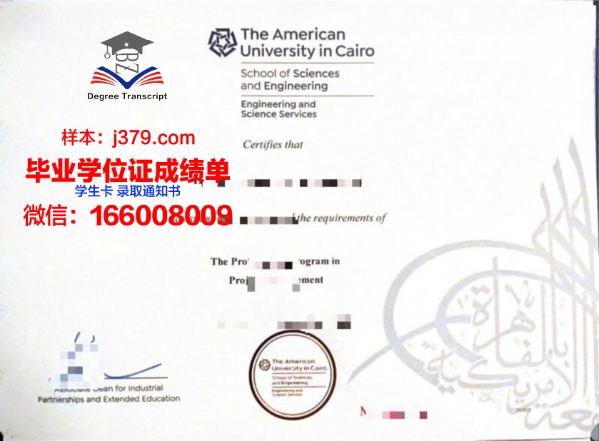 开罗大学证书成绩单(开罗大学申请条件)