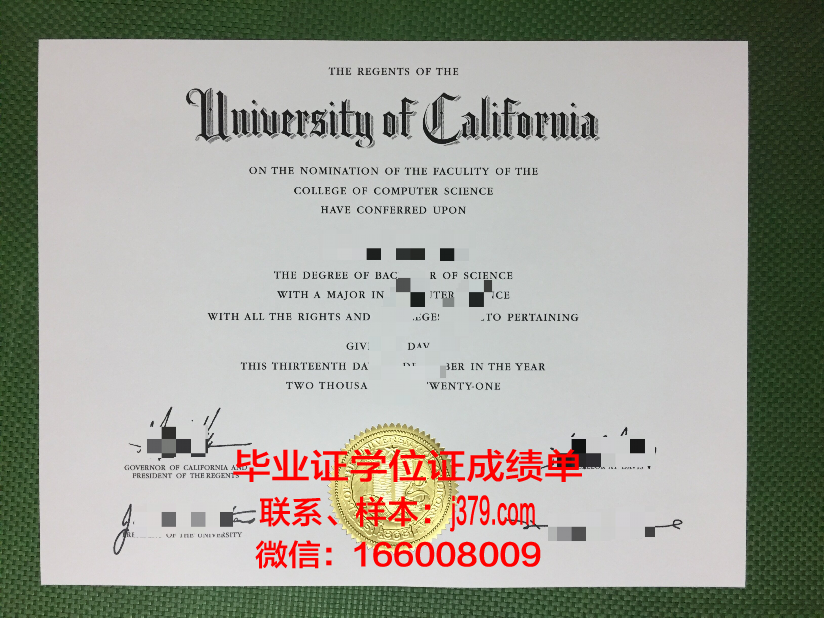 开罗大学博士毕业证(南开大学博士毕业证)