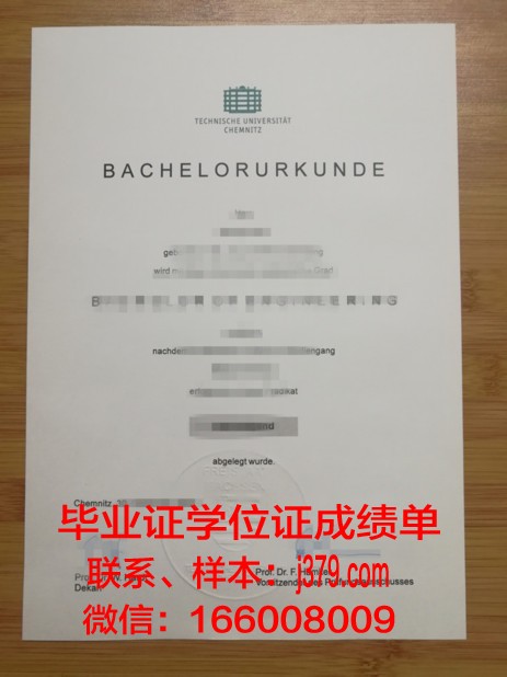 开姆尼茨工业大学毕业证原件(开姆尼茨工业大学qs)