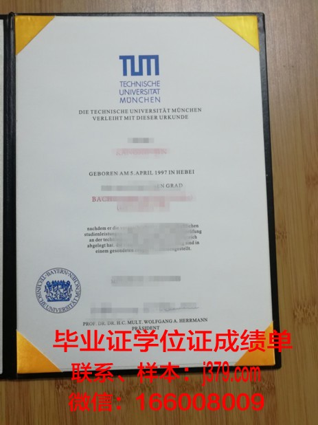 慕尼黑商学院毕业证是什么样子(慕尼黑商学院排名)