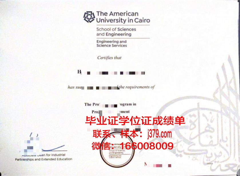 开罗大学毕业证书图片(开罗大学为什么难毕业)