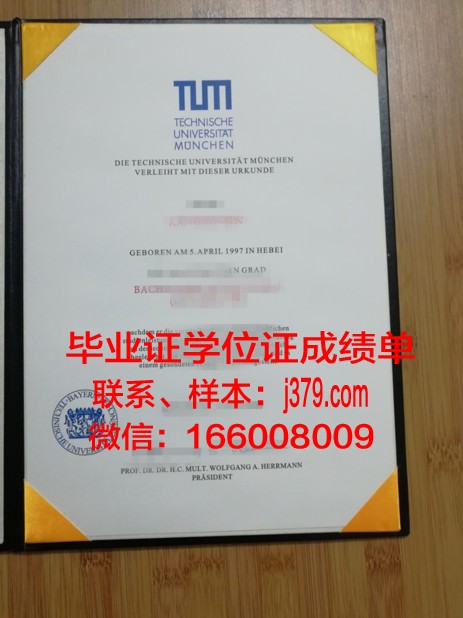 慕尼黑应用技术大学毕业文凭