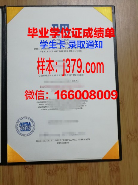 慕尼黑应用技术大学毕业证防伪(慕尼黑大学技术学院)
