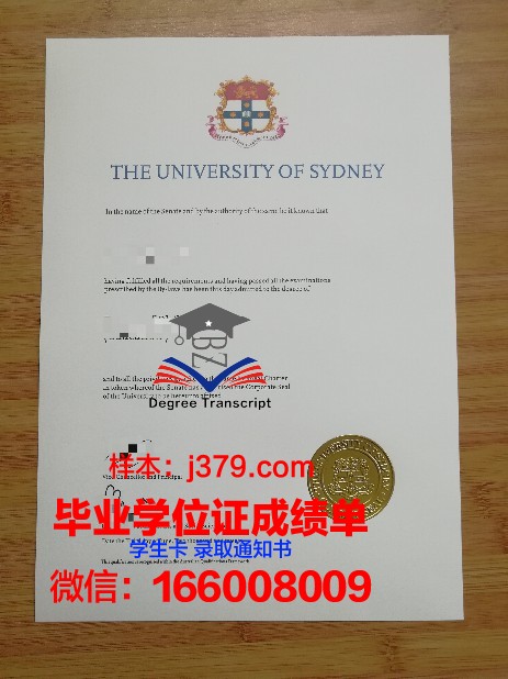 悉尼大学艺术设计成绩单(悉尼大学艺术策展)