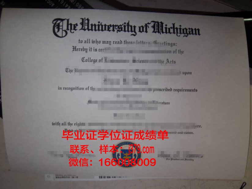 康斯坦丁门托里兄弟第一大学毕业证样本