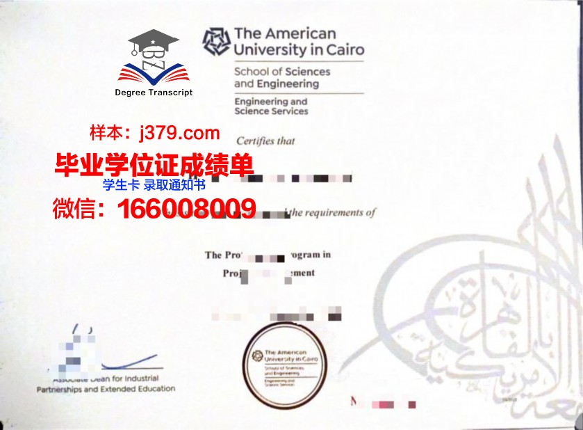 开罗美国大学毕业证成绩单