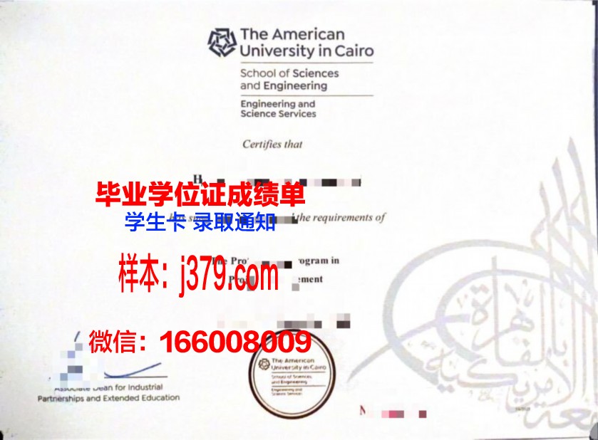 开罗大学硕士毕业证书样本(开罗大学入学条件)