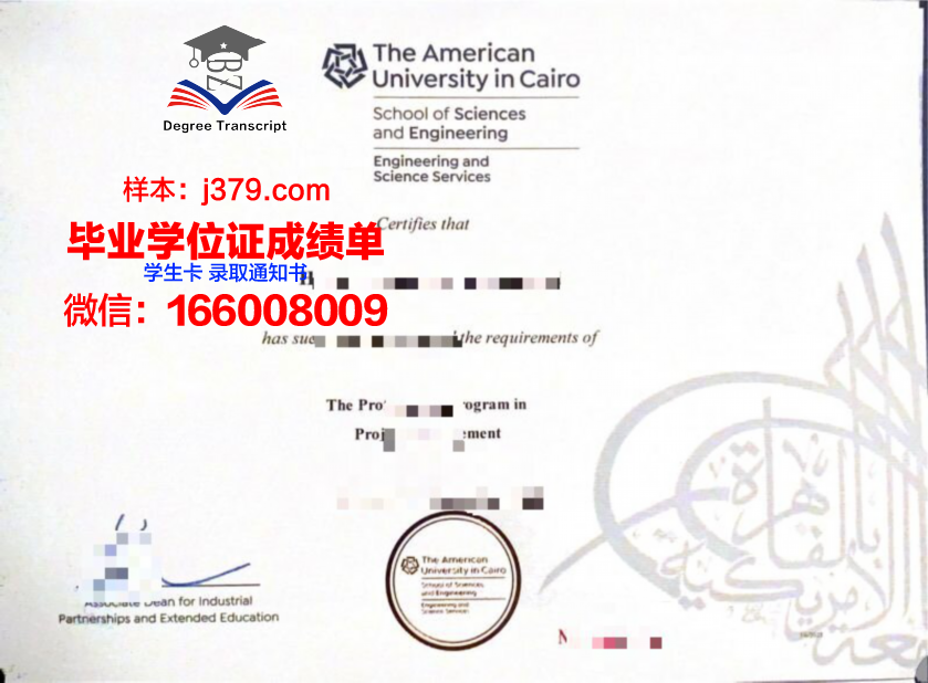 开罗美国大学毕业证书(美国大学毕业证分等级吗)