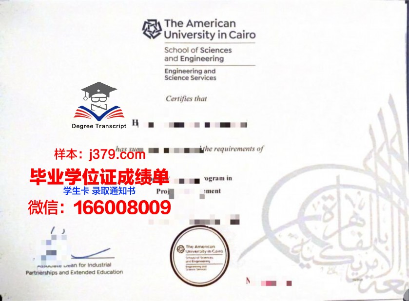 开罗大学毕业证案例(开罗大学校长)