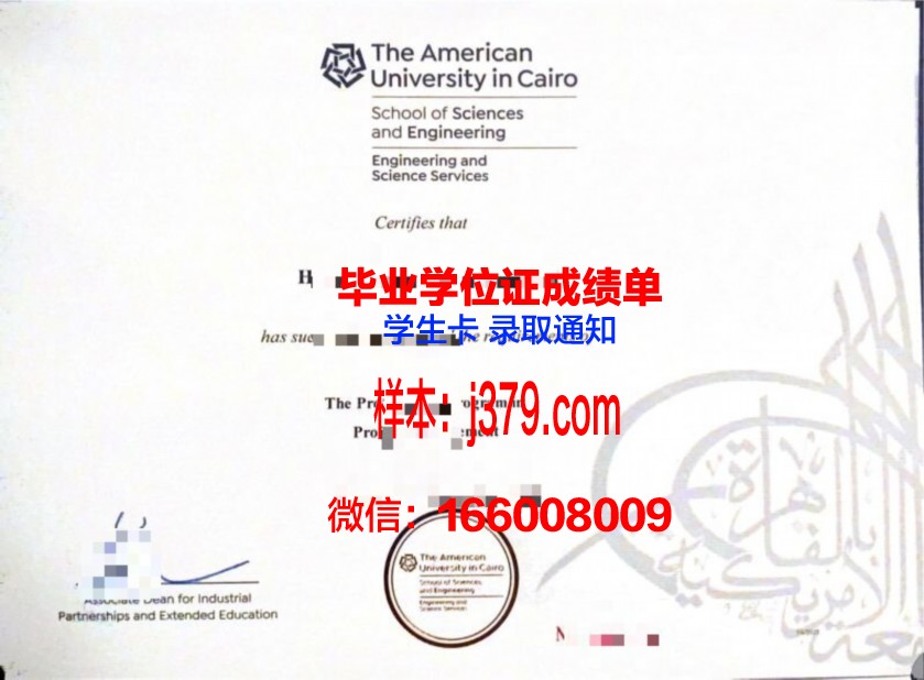 开罗美国大学毕业证书(美国大学毕业证分等级吗)