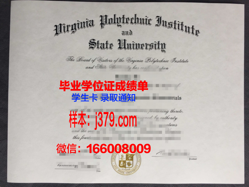 弗吉尼亚理工大学毕业证是什么样呢(弗吉尼亚理工大学是名校吗)