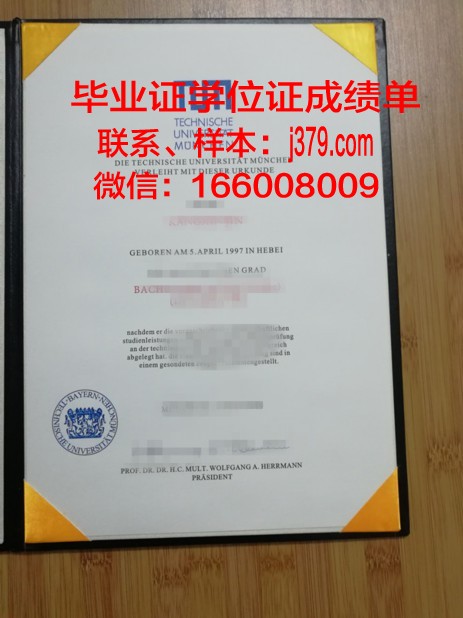 慕尼黑工业大学毕业证书什么颜色(慕尼黑工业大学毕业证书什么颜色可以用)