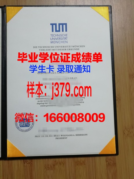 慕尼黑应用技术大学毕业证高清图(慕尼黑大学技术学院)