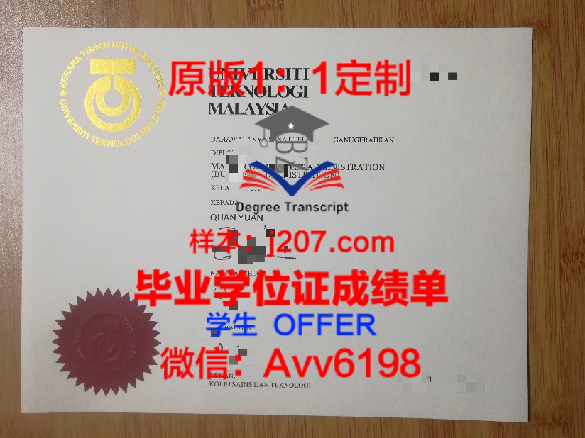 岭南学位证成绩单图片：揭秘高校成绩背后的故事