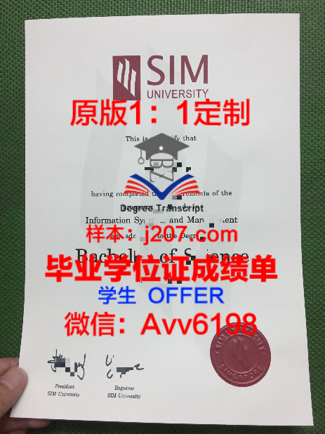 里昂高等师范学校毕业证样本
