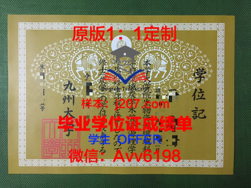 毕业证Diploma文凭成绩单_42