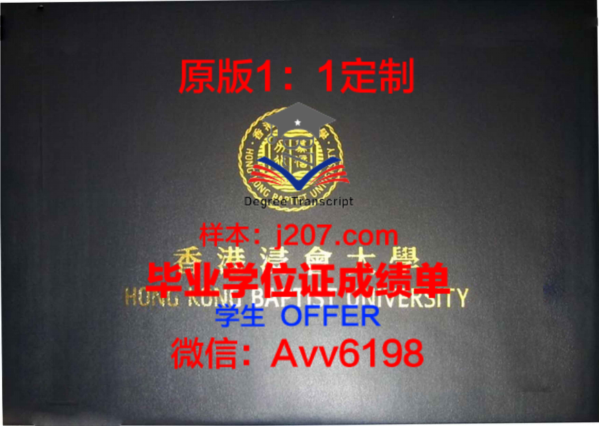 北京师范大学-香港浸会大学联合国际学院毕业证Diploma文凭成绩单
