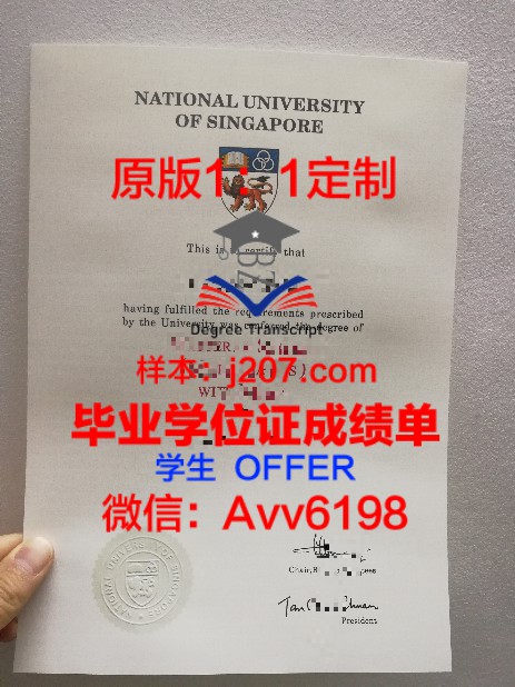 成功大学学位证成绩单：承载荣誉与努力的证明