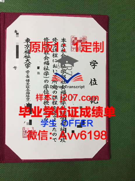加拿大约克大学01毕业证样本