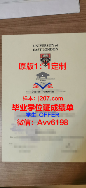 AHTMI学位证：开启国际航空运输管理领域的新篇章