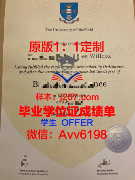 克里沃罗格国立师范大学成绩单:展现教育质量的丰碑