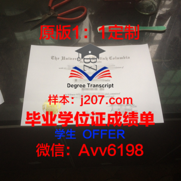 南澳大利亚商业技术学院毕业证成绩单:开启职场成功之路