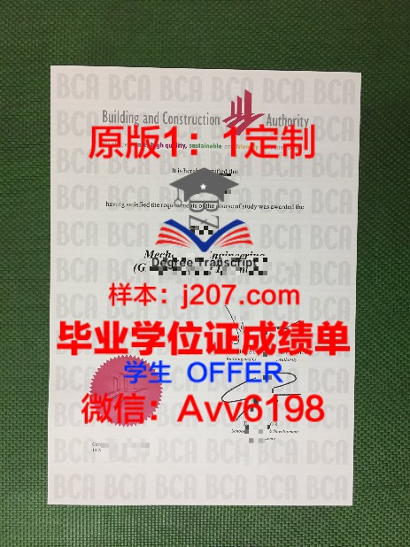 QUB学位证定制:追求个性化教育的体现