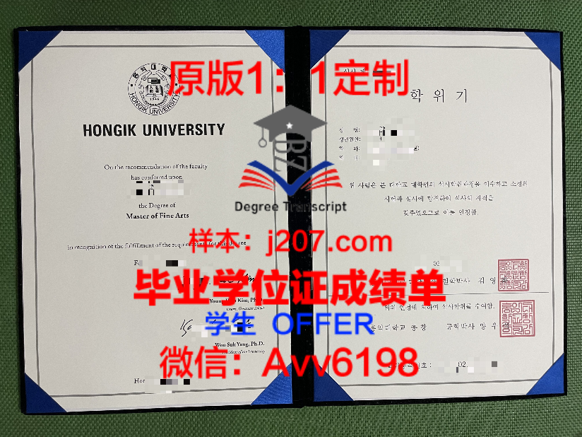 韩祥大学位成绩单定制：打造个性化学习成果的利器